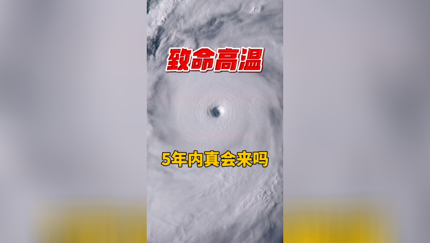 2025香港正版资料全年免费公开,王心凌（霸总版）画质,创造力策略实施推广_基础版V12.18