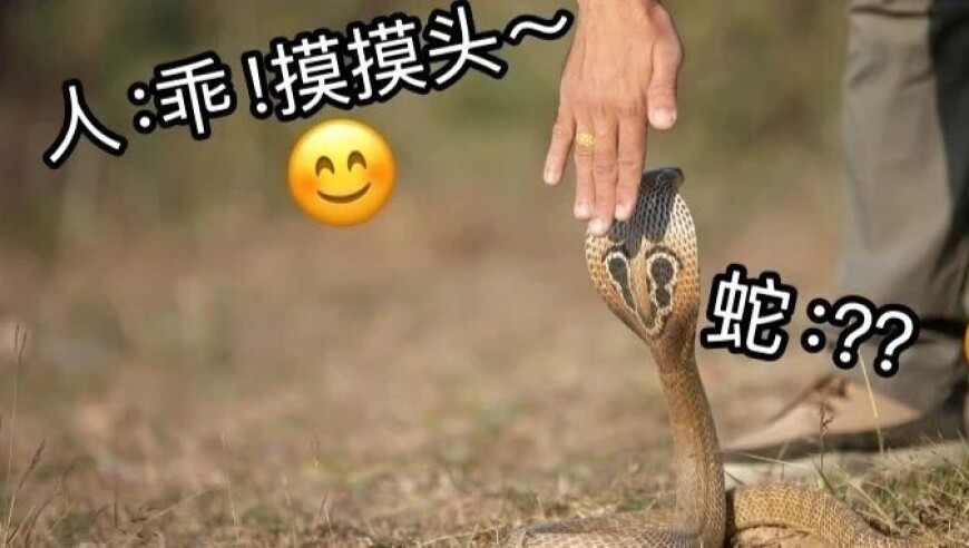 摇钱树心水论334435四肖中特,烟花炸伤右眼案已立为刑事案件,决策资料解释落实_储蓄版V1.70